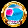 mouniahm2d