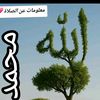 kalid7276kalid7276