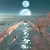 xyliafiera