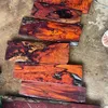 phuongnguyen81957