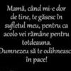 elenarohan258