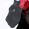 a__akl12