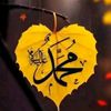 uzershakeela