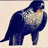 a_alghtani7