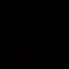 sy_alb7