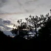 S U Y ..