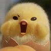 faraaaraaa0