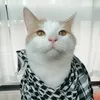 jambalayja