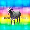 goatdoctor99071