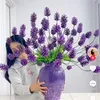 user5fcajbb490