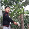 nguyenthao1541