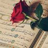 zakia.zegaou
