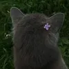 vil._313