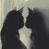 blackmiaow