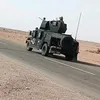 lion_66uu