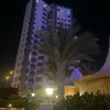 nedah241