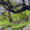 adnanbalucshi
