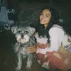 lucyysversion