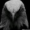 zeldris_javier507