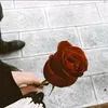 mostsfamohamad40