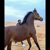 aliadddd6