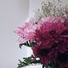 فيّ