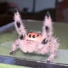 endspiderdiscrimination