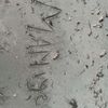 mamie_lmd