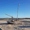 eu59426