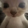 barbara.ketlly