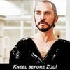 zod_c_137