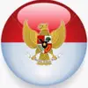 saedi2024saedi