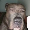 .billyfv
