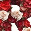 gulammustafa7794