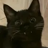 jskhdksjs