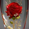 abderrafi64