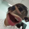 ngdeptenyen