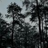 telororakarik11