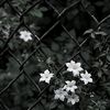 jannat.0686