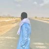alhilbawi.8