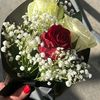 aicha_rig