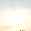 ramadhanyusufpuara