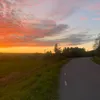 kikikerita_
