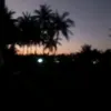 p_may223