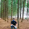 jowahyu0