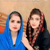 gull_hassan03