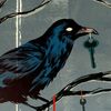 loner_dark_shadow_bird