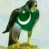 muhammad.kashif5031