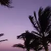 noof_r8