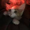 user5jluajv8fm